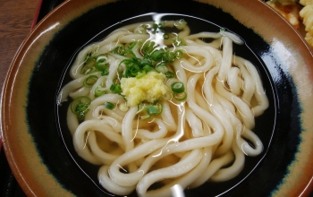 おばちゃんの味 白川うどん