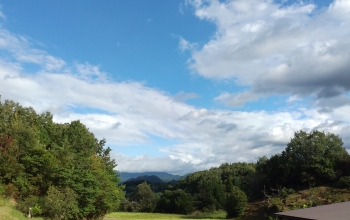 年末のご挨拶♪