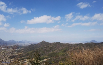 シアワセ気分?春の里山?