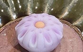 シアワセ気分?あんこ特集?