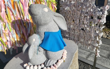 シアワセ気分?神社仏閣✨️✨️