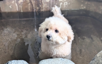 シアワセ気分🌈〇〇な駅🌈