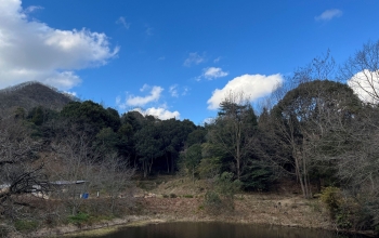 里山はいいね♪