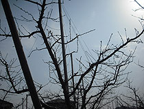 2012033001.jpg