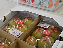 2012081705.jpg