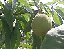 2013061401.jpg