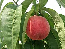 2013061402.jpg