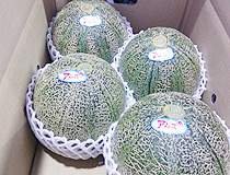 2013062801.jpg