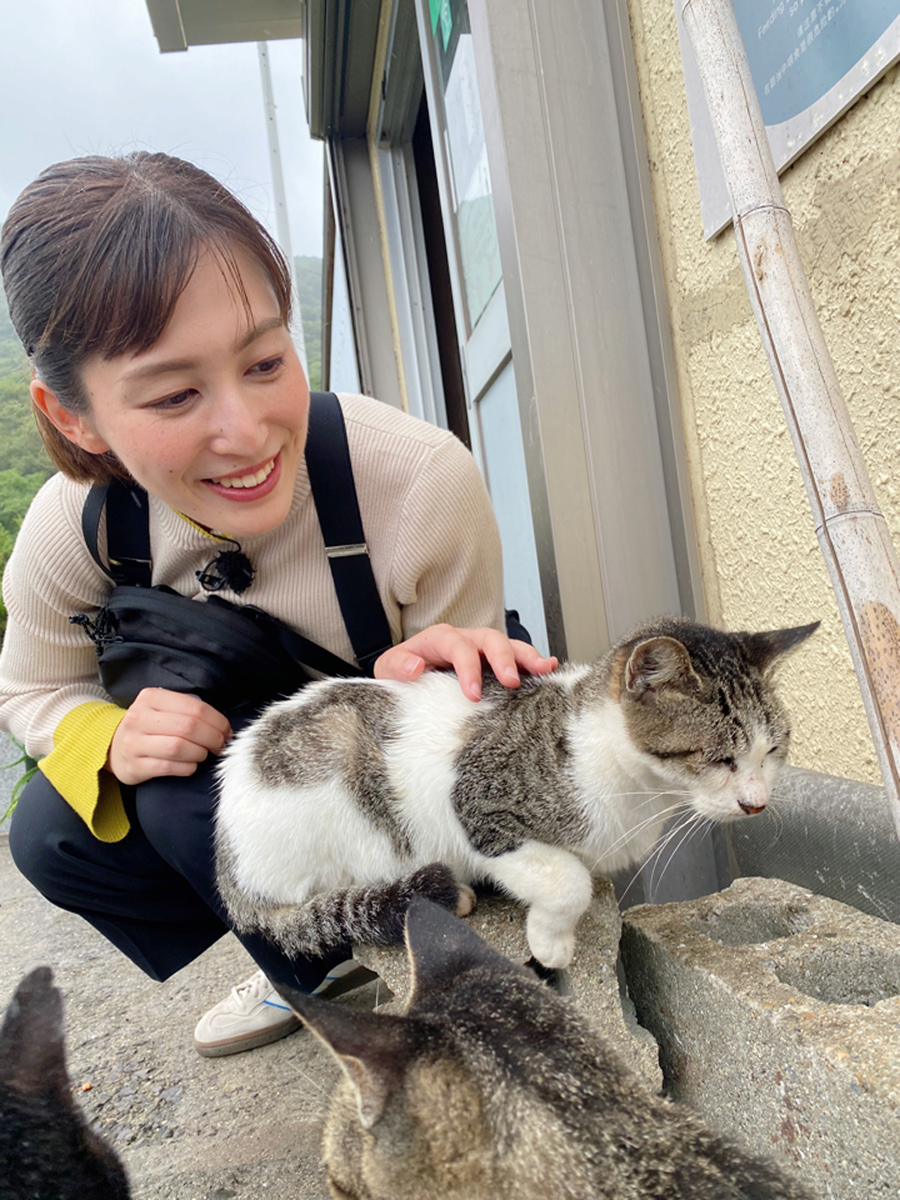 ネコの島（佐柳島）
