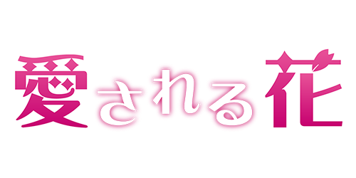 愛される花