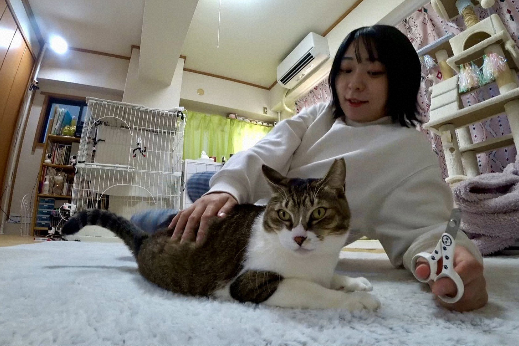 嗚呼!!みんなの動物園