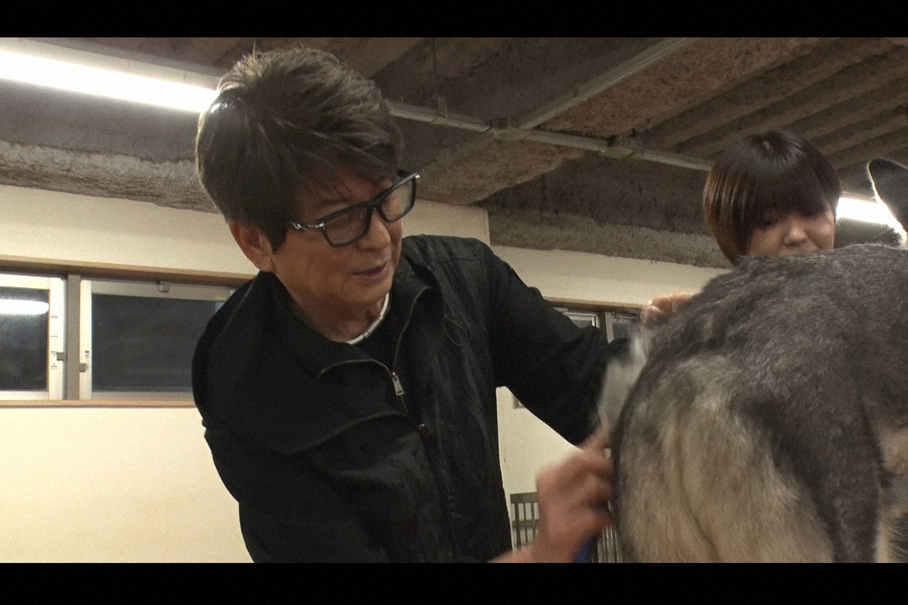 嗚呼!!みんなの動物園