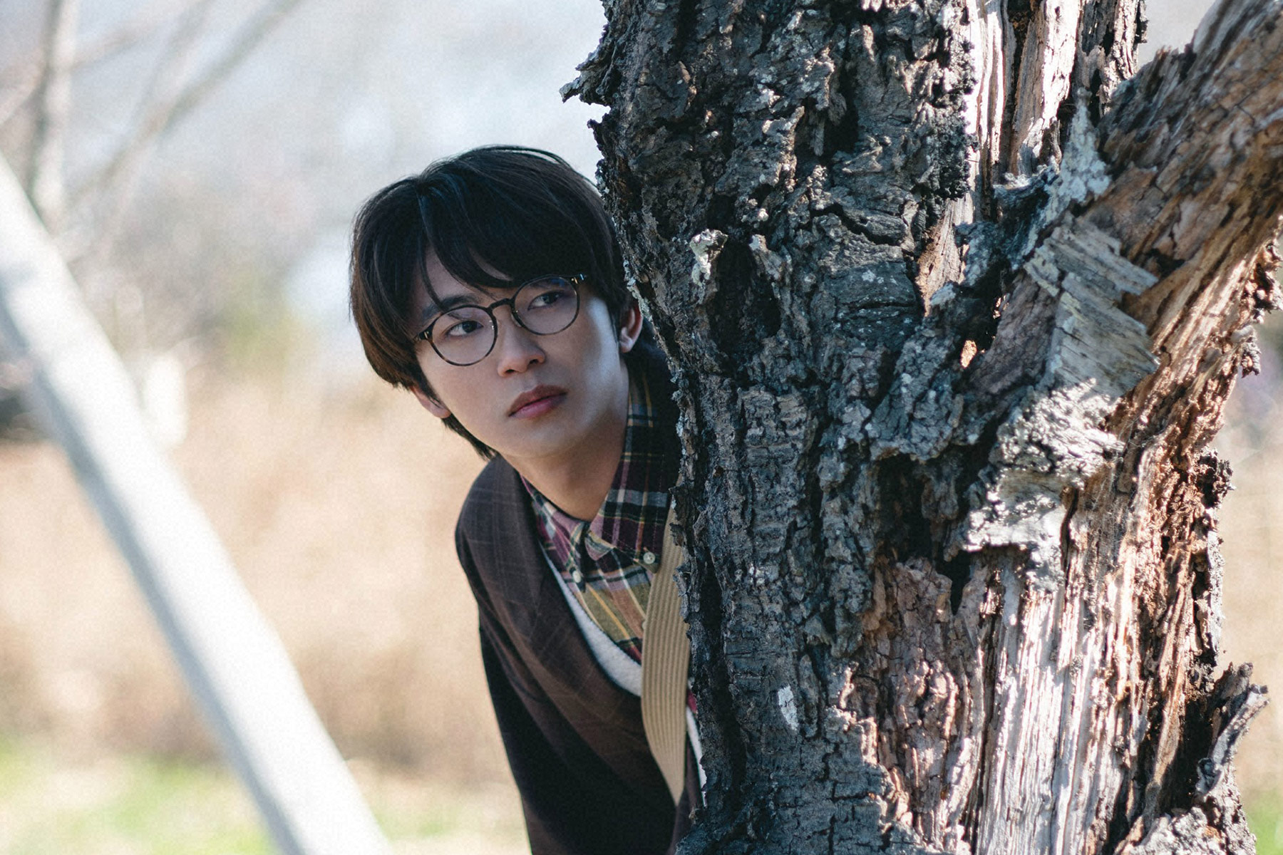 プラチナイト木曜ドラマ「君が死刑になる前に」
