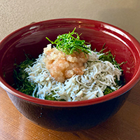 しらすの梅おろし丼