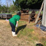 動物とふれあい体験