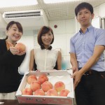 大きな桃をいただきました！