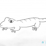 ヤモリがウチにやって来た!※苦手な方は閲覧注意です