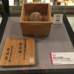 ~池田大樹のハイコレ~