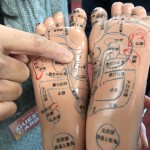 ～いっつもっとに　聞いちゃおっと♪～