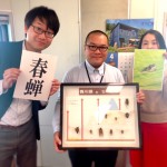 春なのに「蝉」?