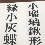 シジミ蝶！？