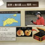 昆虫さん、いらっしゃ～い！