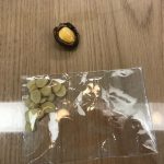 ~いちにち一歩しあわせ漢方~