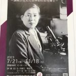 知識の神様Z