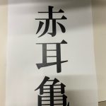 昆虫さんいらっしゃ～い♪