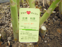 2010040203.jpg