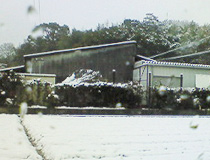 2011021101.jpg