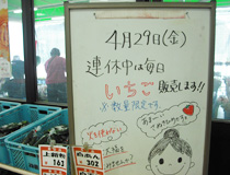 2011042903.jpg