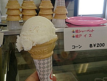 2013071903.jpg