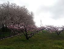 2014040402.jpg