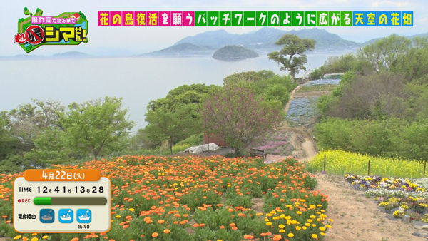 志々島