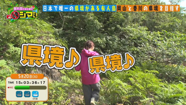 石島