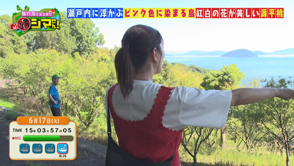小手島