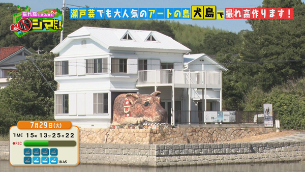 犬島