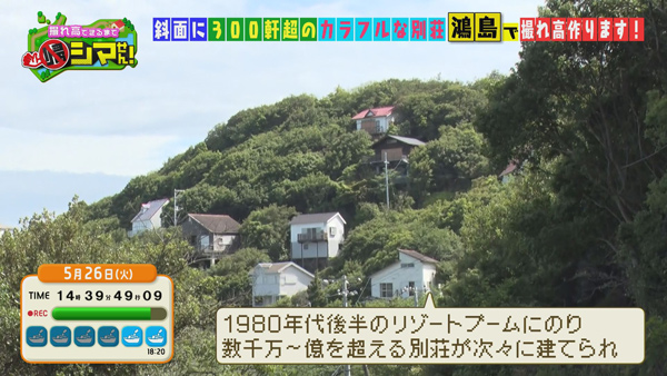 鴻島