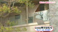 柳川はむら