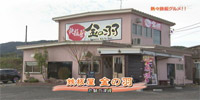鉄板屋 金の羽