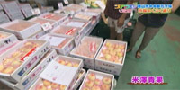 米澤青果