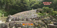 鼻ぐり塚