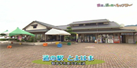 道の駅 とよはま