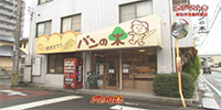 パンの木