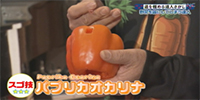 ★野菜を笛にして演奏する達人 小山淳志さん