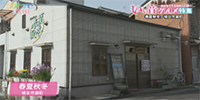 春夏秋冬