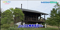 ハーブ&雑貨ぽぷり
