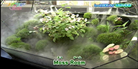 Moss Room(モスルーム)