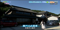 瀬戸の古猫庫